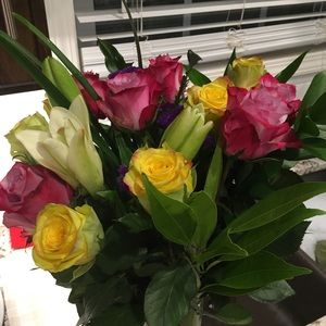 Meet your Posher, Gretchen